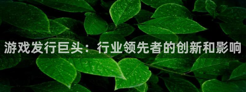 顺盈娱乐眠4o14O使用评测与反馈